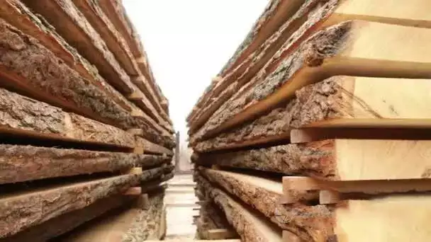 planches de bois coupées par une scierie