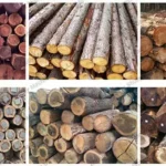 applications des machines à scier le bois