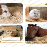 virutas de madera para camas de animales