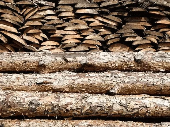 Debark firewood