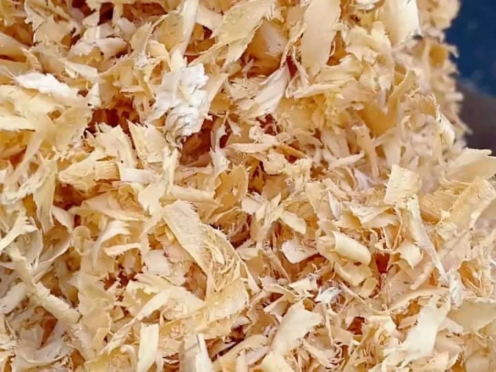 Wood shavings