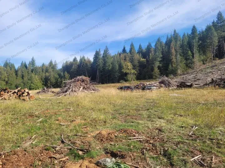 Wood in his sawmill