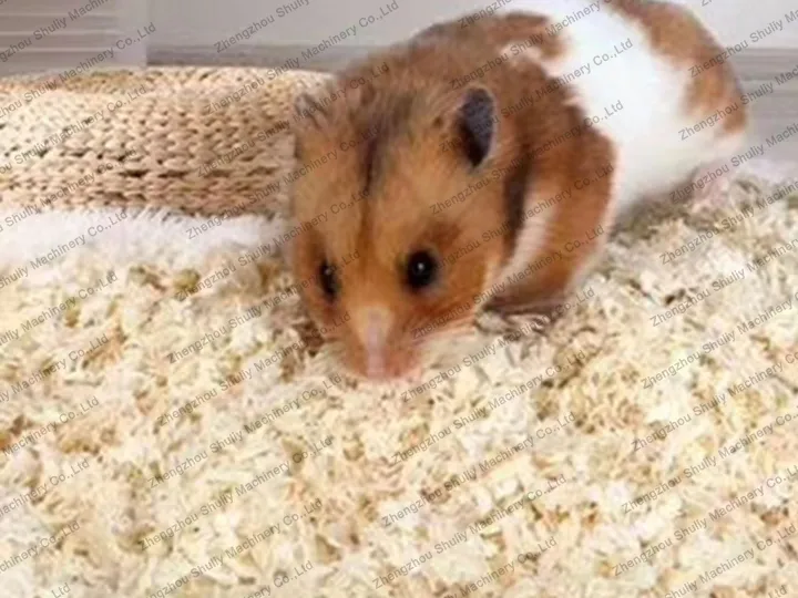 Wood shavings for pet bedding